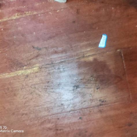 世界杯足球赛官网